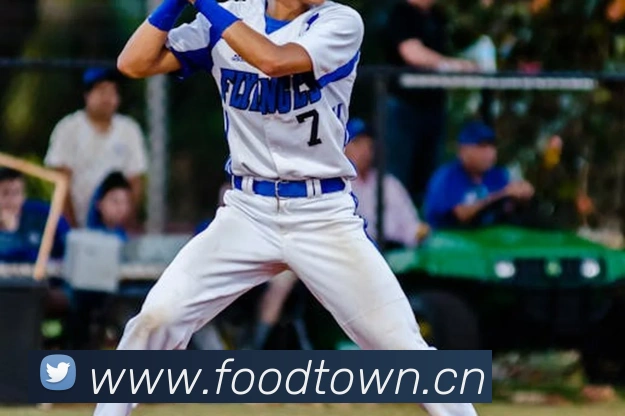 巅峰国际app注册入口官网平台生态图